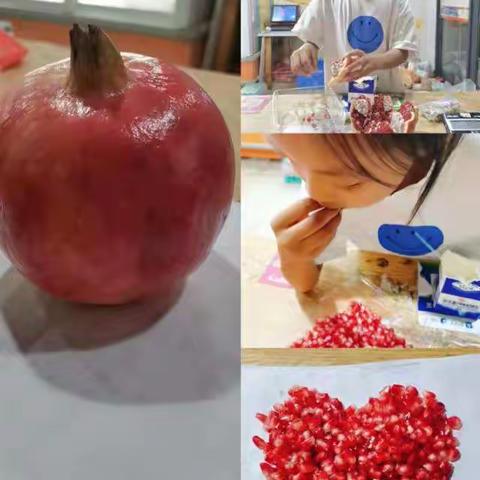 石榴红了—— 一（1）班