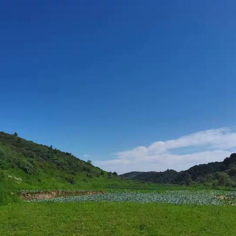 “情系沾岭”采风团走进沾尚镇