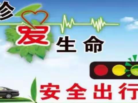 曹县第二初级中学“安全”主题升旗仪式----五六中队