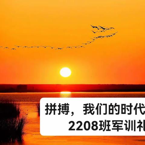 烈日骄阳，八连最强              —— 2208班军训礼赞