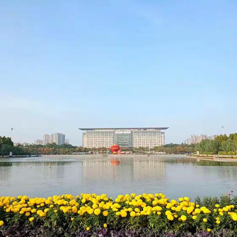 2023年安阳市老年大学摄影二班市政广场菊花展作品