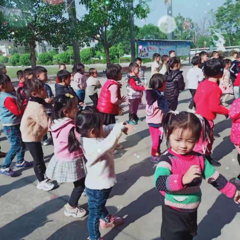 🌺金灶柳岗(小学)幼儿园🌺