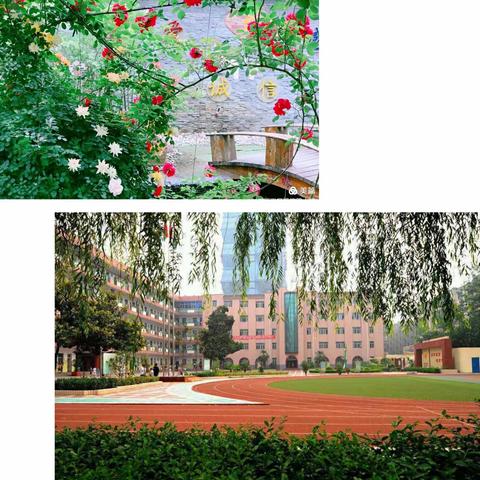 “回归内在——与你的内在小孩对话”——凯旋路小学4月23日校本研修《回归内在》第六章《重寻学前期的自己》