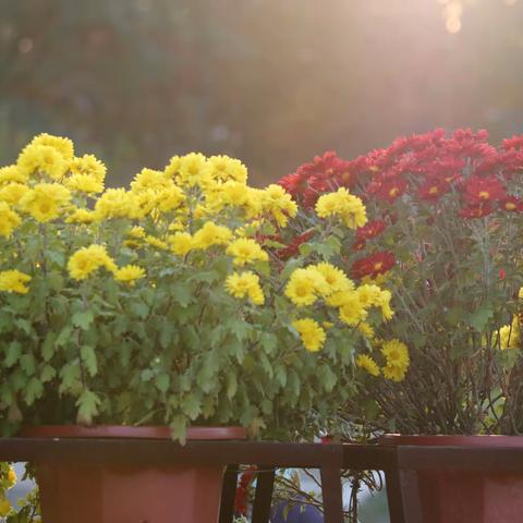 天津我的家乡。四季分明。有山有水。人杰地灵。天津人心地善良。知大体，识大局。爱新中国。天津美景数不尽。