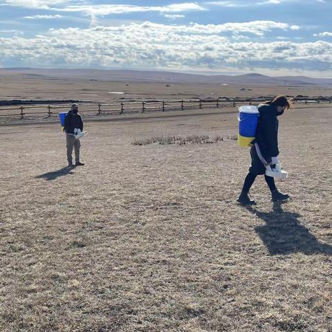 呼和道布嘎查党支部开展了“我为群众办实事—秋季灭鼠行动主题党日”