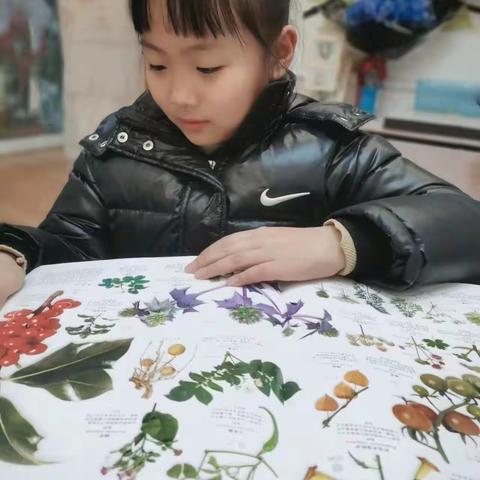 雨过天晴的美篇