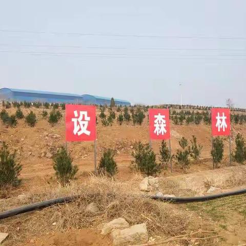 禹州城管局积极参加全市春季义务植树活动