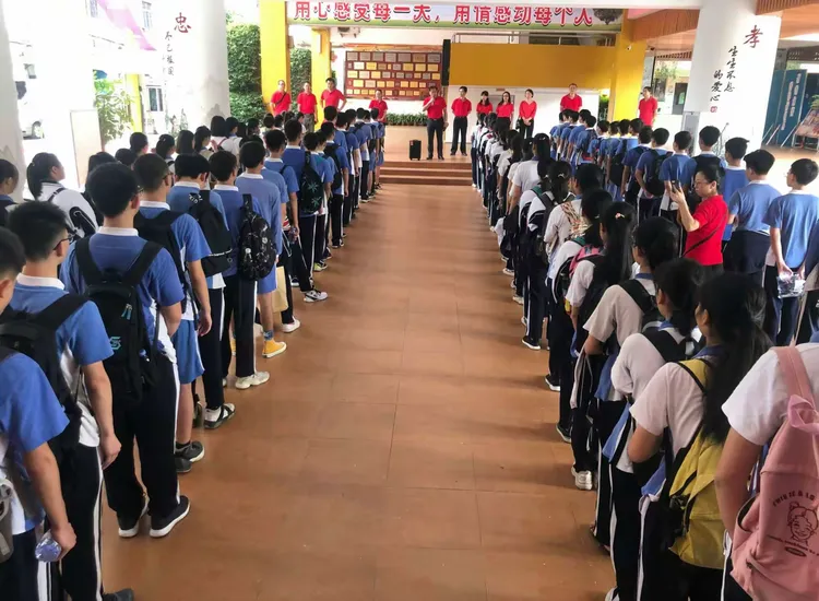 ——深圳市龙岗区鹏达学校2019