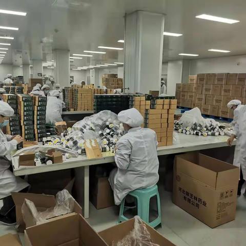 南和区残疾人助残模范—河北省御芝林药业