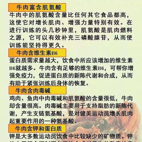 高山黄牛宴震撼来袭 11月16号首发，浮梁户外协会会员重大优惠