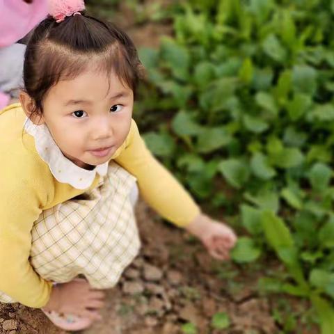 《家长如何培养孩子独立能力》