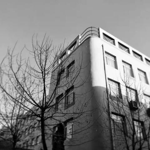 高一七班大宝们的校园风景速写作品集