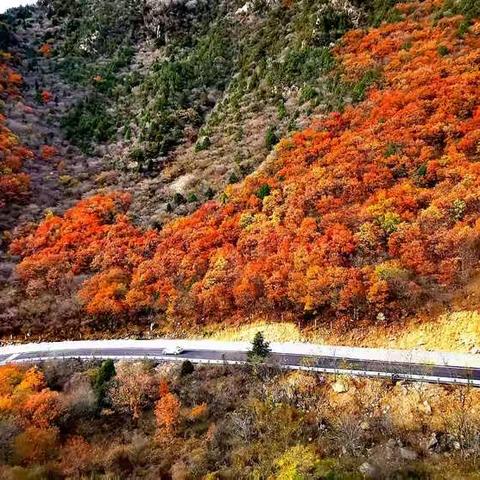 霍岳秋韵Ⅳ