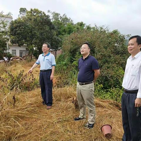 黎永杰局长、刘清副书记等教育局领导到我校进行工作调研