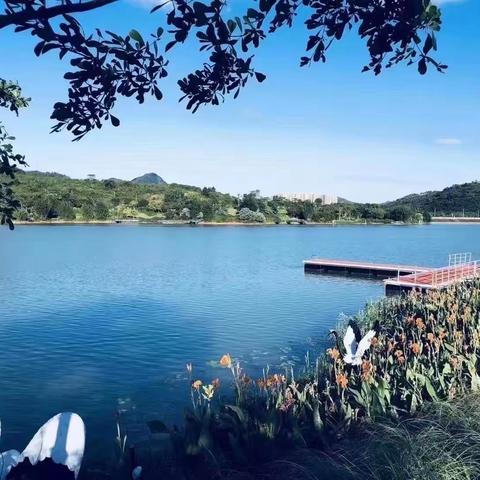 2021年霸气团队励志口号