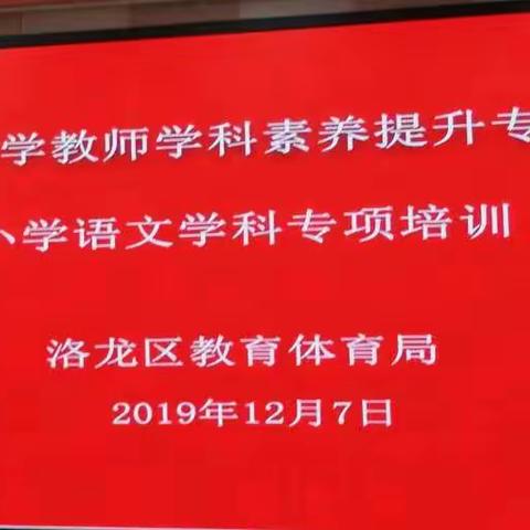 潜心向学路     沉心砥砺行      洛龙区三实小语文学科素养培训活动