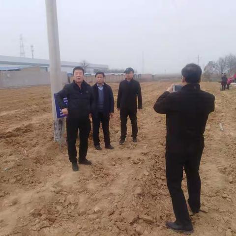 徐杨街办5个整治项目通过区大棚办检查验收