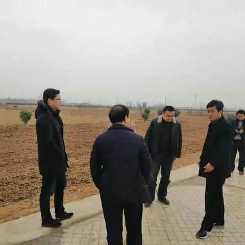 市区验收组对徐杨街办“大棚房”问题清理整治工作进行检查验收