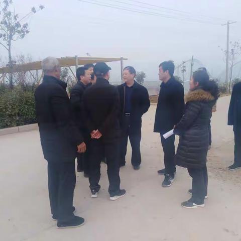 区委“大棚房”问题专项督查组到徐杨街道督查“大棚房”问题清理整治工作