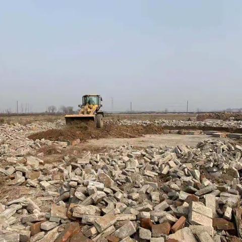 徐杨街办2月20日"大棚房"问题专项清理整治行动工作开展情况动态