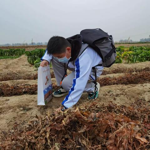 体验丰收 收获成长——保定三中分校教育集团研学活动