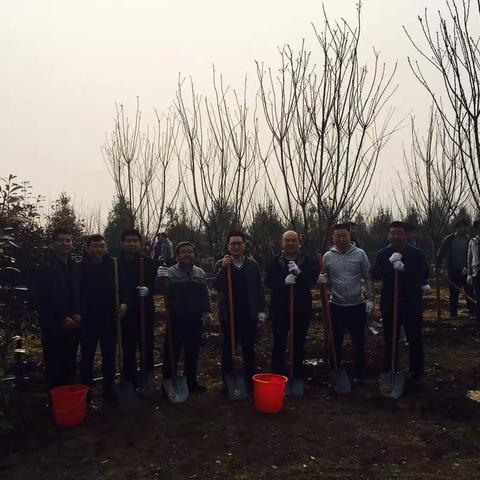 携手共建绿色之城