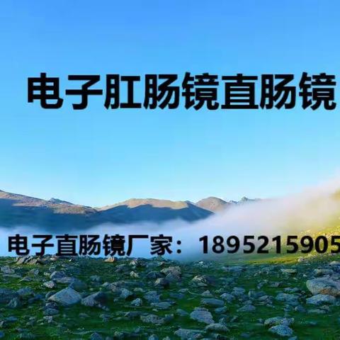 电子肛门镜图片，肛肠镜图片【电子肛肠肛门镜】_电子肛门镜品牌/图片/价格_电子肛门镜批发