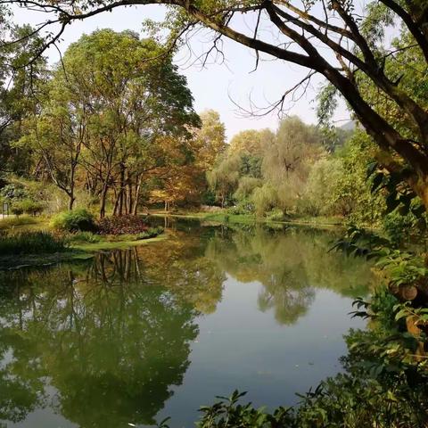 《发展 .同伴 .感谢》