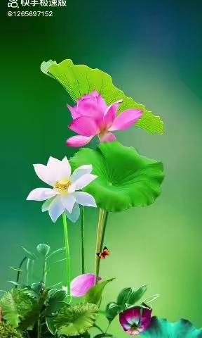 吴胜会的美篇点赞！欢迎大家来到贵州美篇。