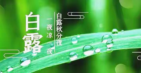 阿旗天山诗书画艺术群白露诗词集锦（第212期）