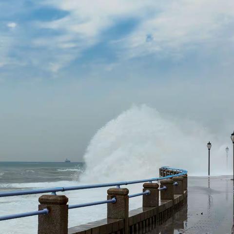 “轩岚诺”带给青岛的礼物。