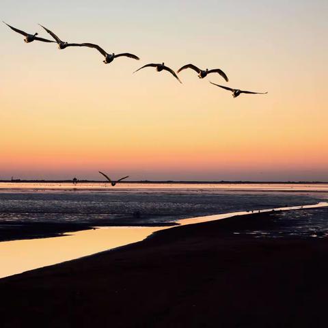 天鹅湖（荣成）晨曦