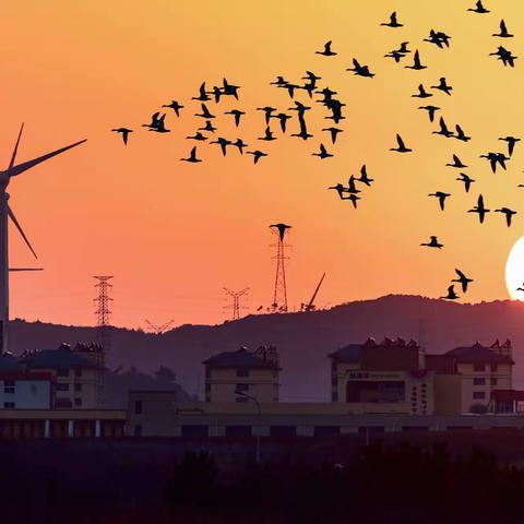 天鹅湖（山东荣成）暮色夕阳