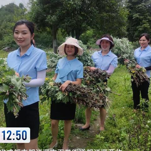 碧水青城端午节业主活动