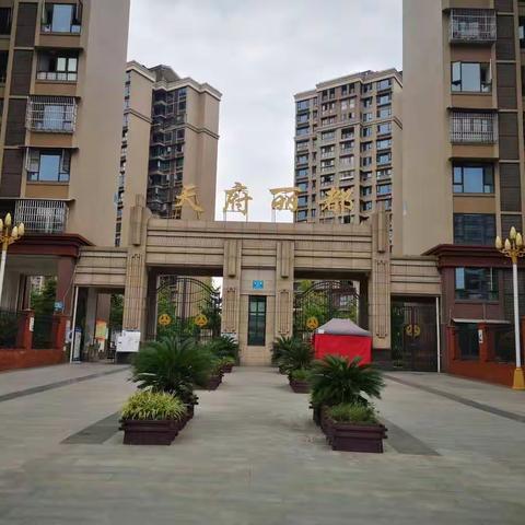 “播种绿色希望，建设幸福家园"天府丽都绿化补栽