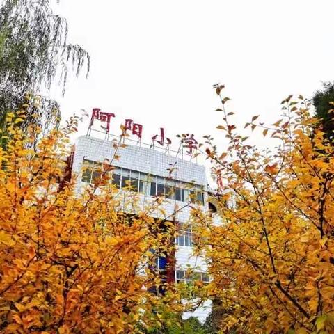 【新教育•师生共写随笔】 星光无限照耀赶路人 阿阳小学六（4）安琪儿