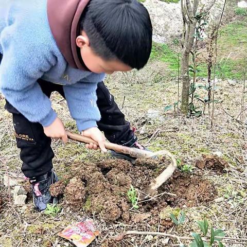 花枝春满  山河无恙 人间皆安