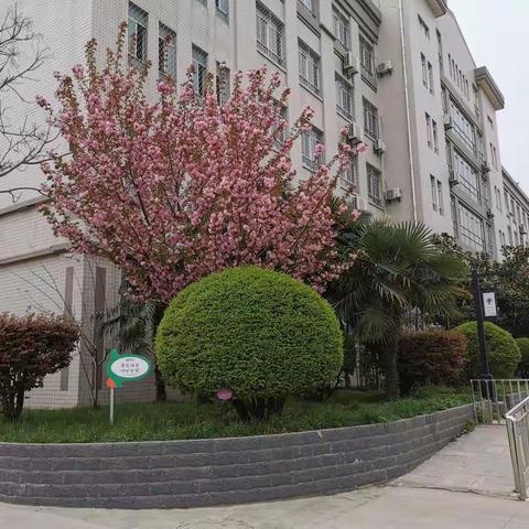 春暖花开     佳燕展翅