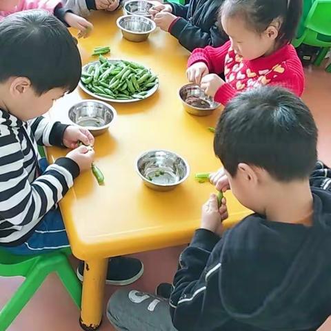 南康区中心幼稚园阳光康城分园大班劳作课