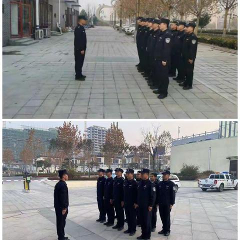 11月27日工作总结