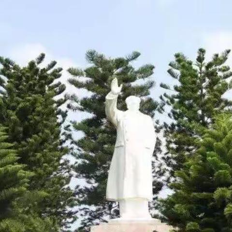 合流部队部分战友2020年新春团拜会记实