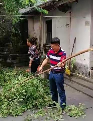 清洁环境卫生，共筑传染病防控厚墙—市信托公司积极参与防控工作