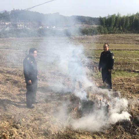 深入开展专项治理，严厉打击违法违规行为