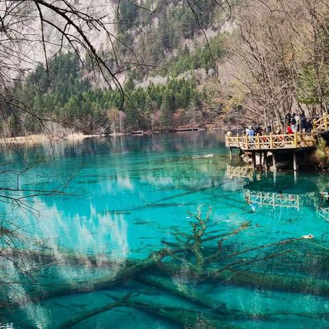 九黄之春，4月2一5日，女儿，外孙女，老公和我去九寨沟、黄龙看山看水，看雪景，人少四季皆美景。