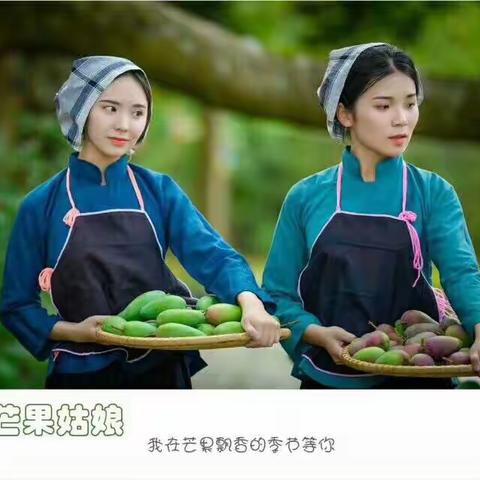 我在芒果飘香的季节等你