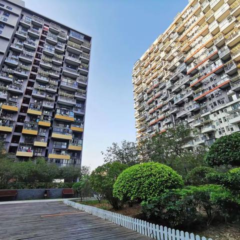 彩生活红红火火过大年深圳花郡花乡