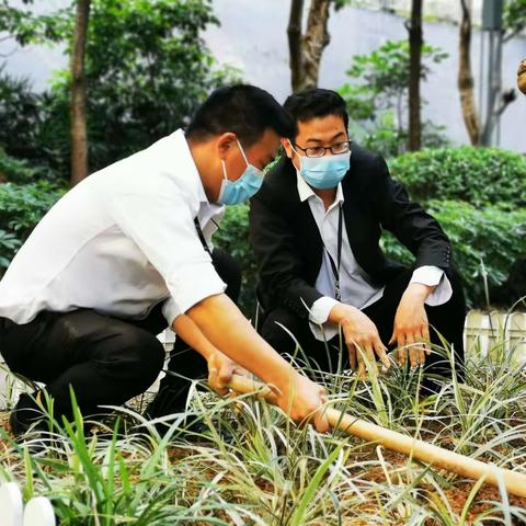 花郡花乡四月第三周工作主要简报