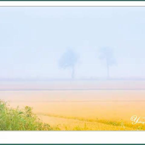 晨雾蒙蒙 秋朦胧【一丁摄影】