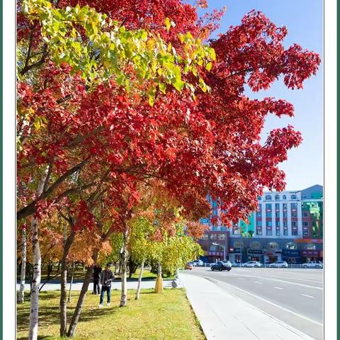 城中秋色别样美【一丁摄影】