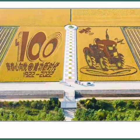 金秋醉美稻田画【一丁摄影】